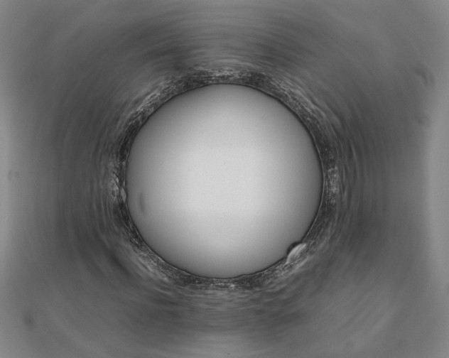 X0000111900916200908031114