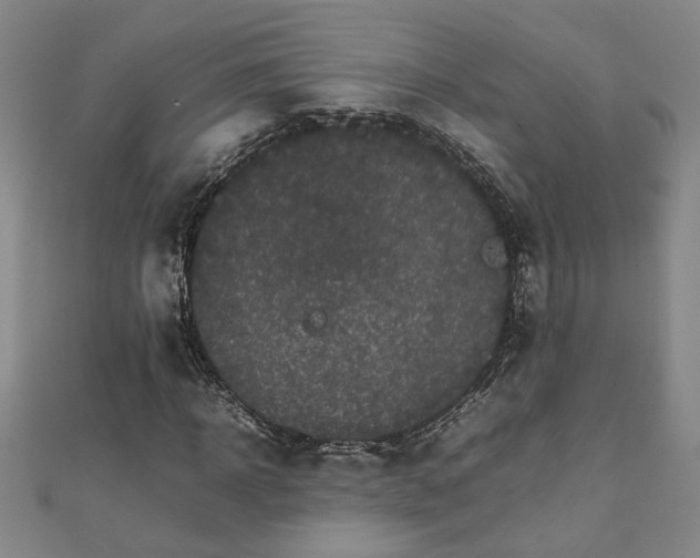 X0000111900918200908031114