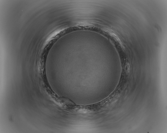 X0000111900920200908031114