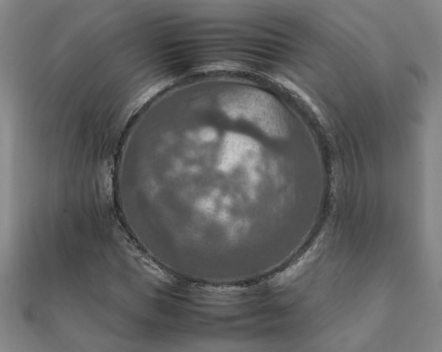 X0000111900921200908031114