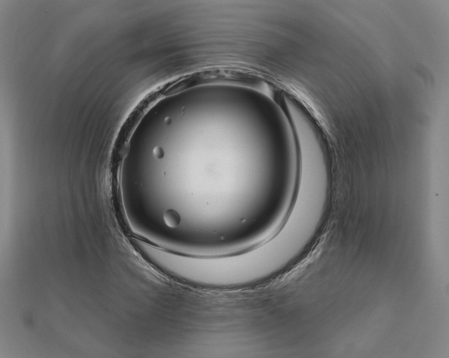 X0000111900924200908031114