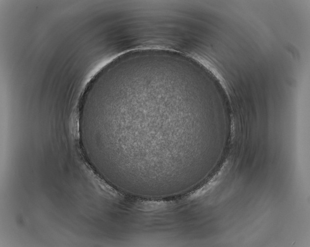 X0000111900925200908031114