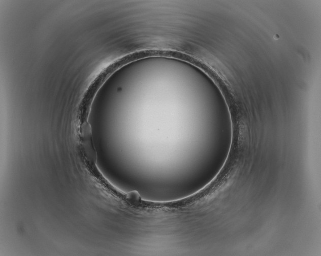 X0000111900926200908031114