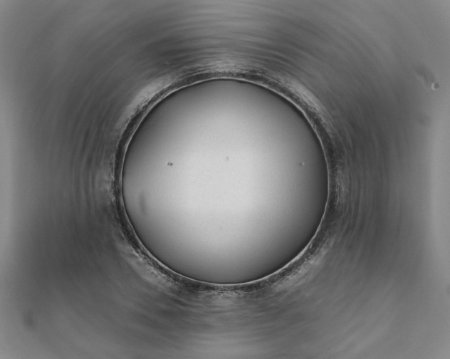 X0000111900930200908031114