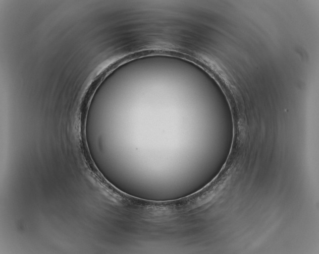 X0000111900931200908031114