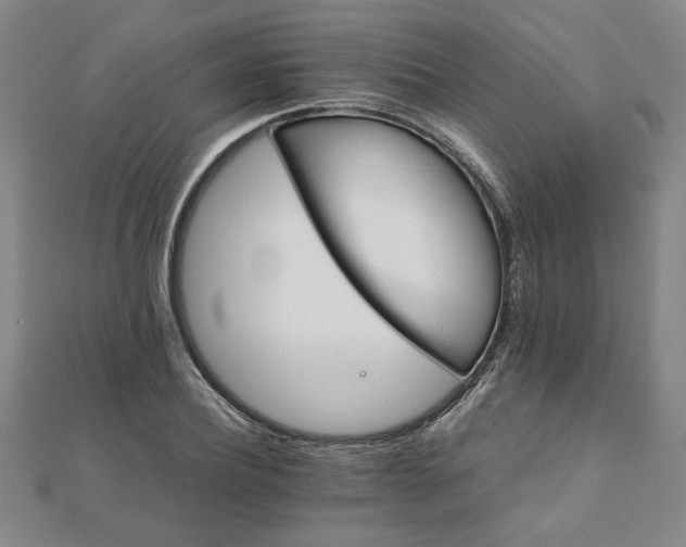 X0000111900932200908031114