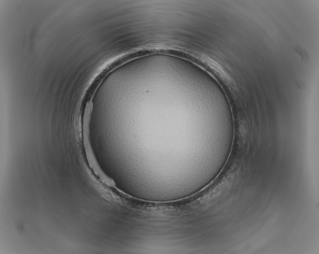 X0000111900934200908031114