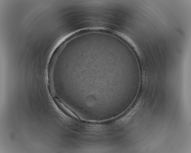 X0000111900935200908031114