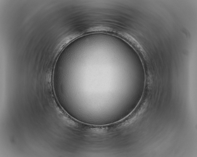 X0000111900937200908031114