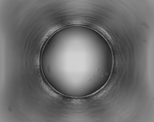 X0000111900938200908031114