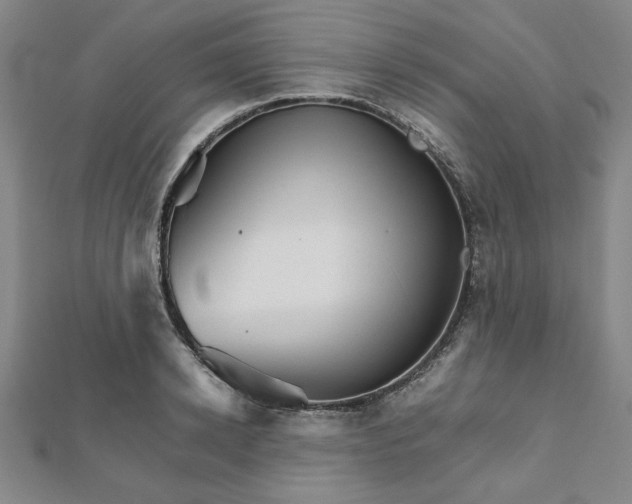 X0000111900942200908031114