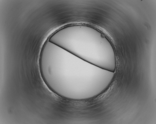 X0000111900943200908031114