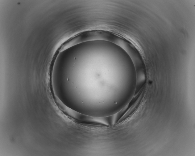 X0000111900944200908031114