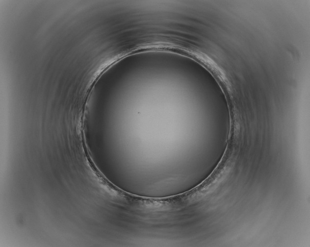 X0000111900945200908031114