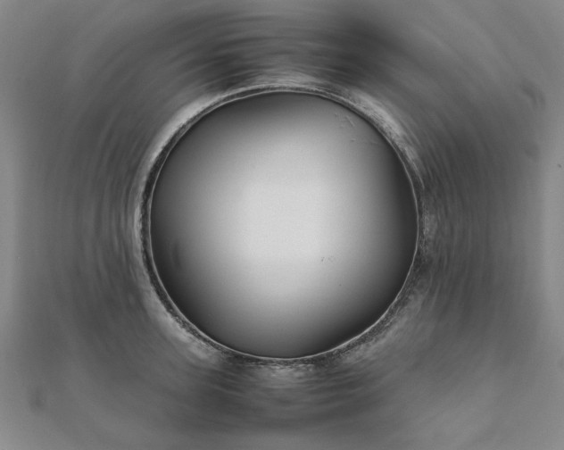 X0000111900947200908031114