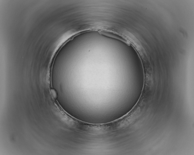 X0000111900948200908031114