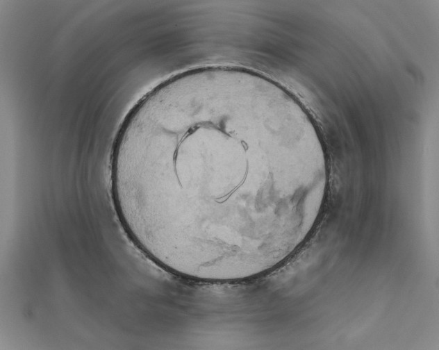 X0000111900950200908031114