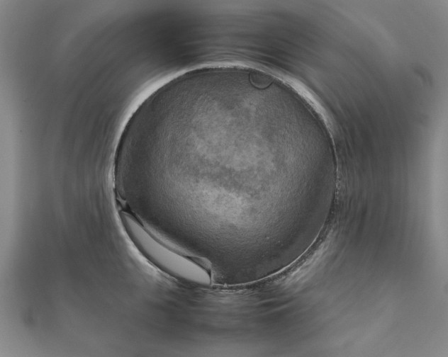 X0000111900951200908031114