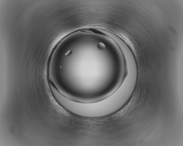 X0000111900952200908031114