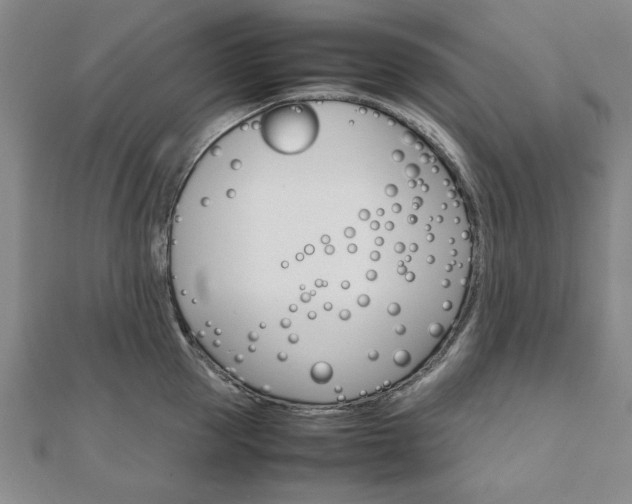 X0000111900953200908031114