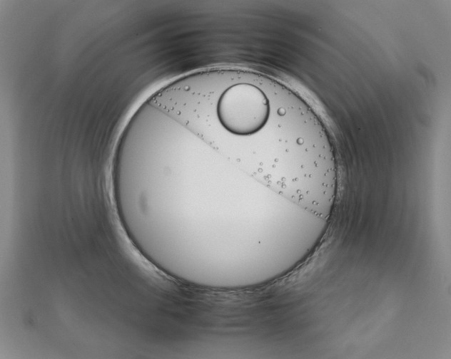 X0000111900955200908031114