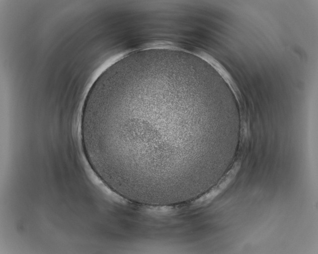 X0000111900957200908031114