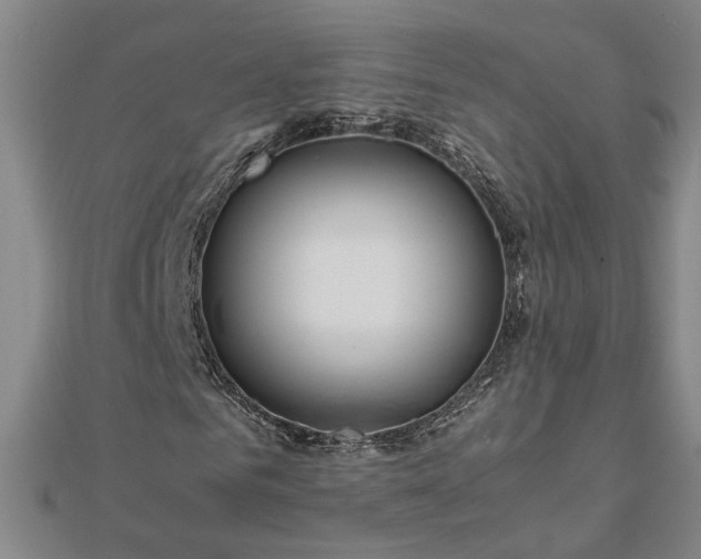 X0000111900961200908031114