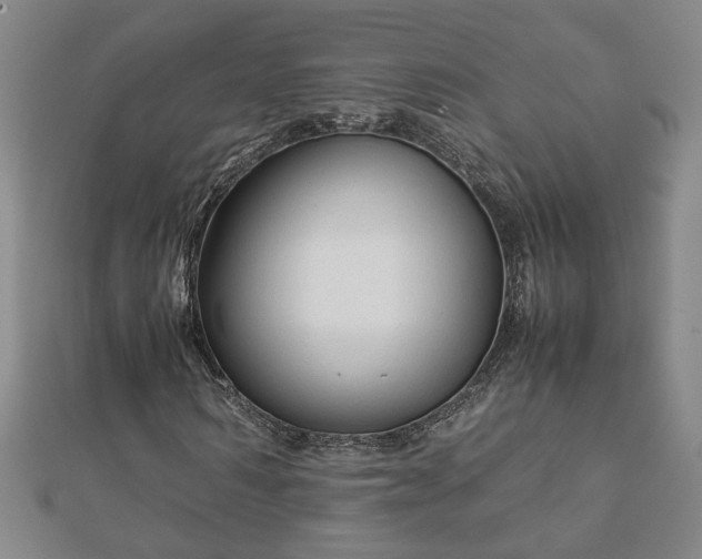 X0000111900962200908031114