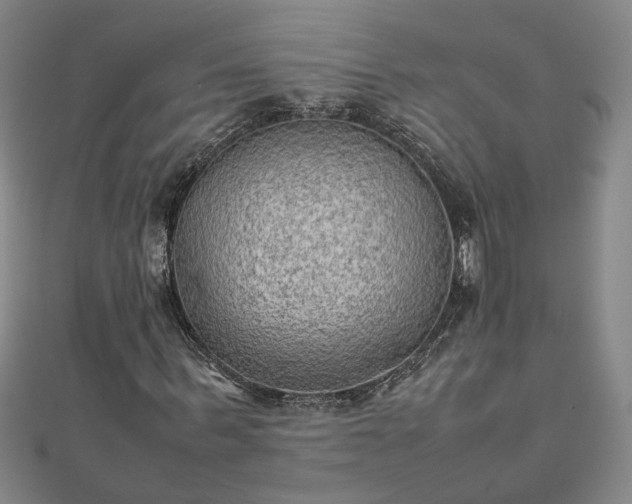 X0000111900963200908031114