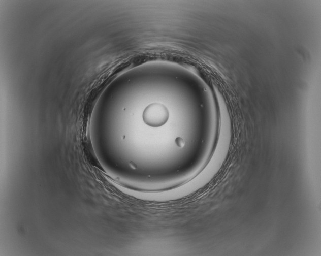 X0000111900965200908031113