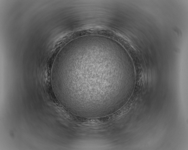 X0000111900966200908031113