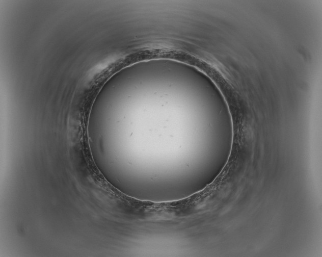 X0000111900967200908031113