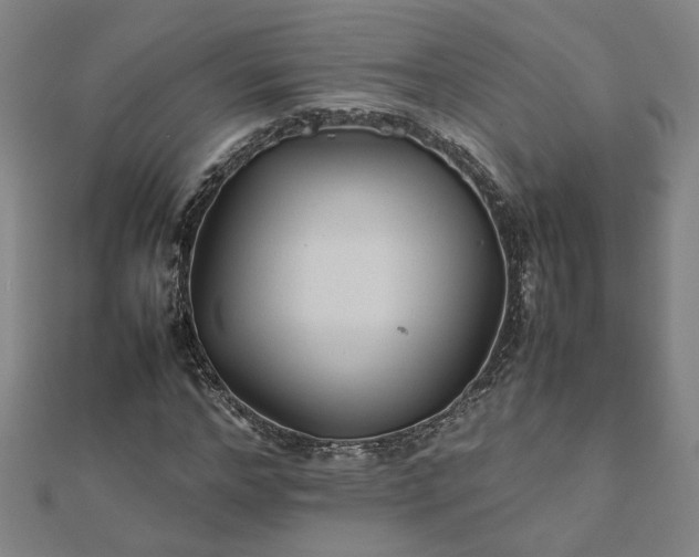 X0000111900968200908031113