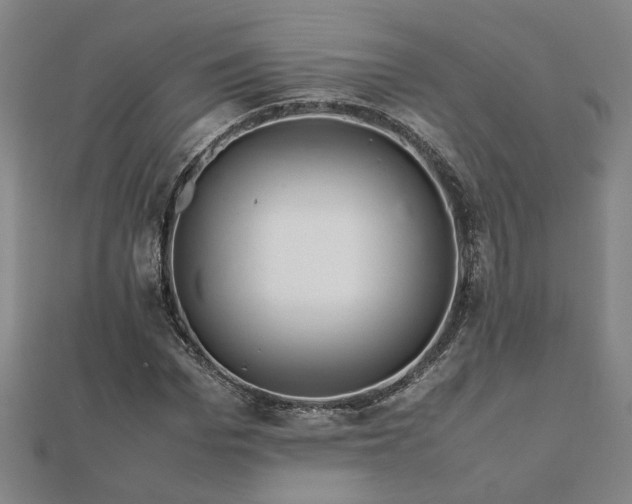 X0000111900969200908031113