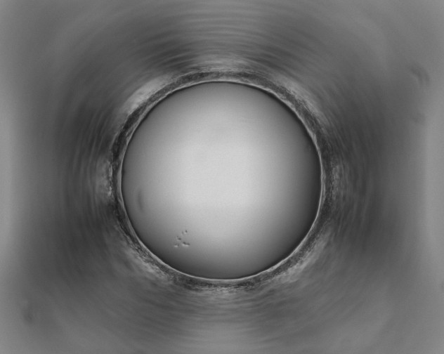 X0000111900970200908031113