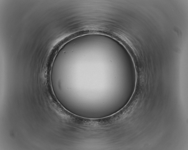 X0000111900971200908031113