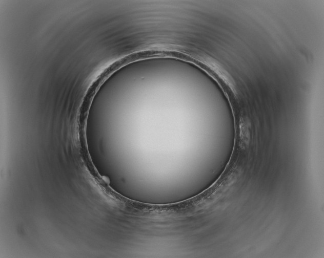 X0000111900972200908031113