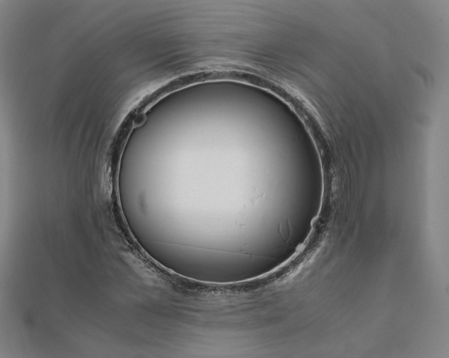 X0000111900973200908031113