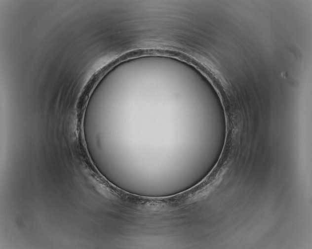 X0000111900974200908031113