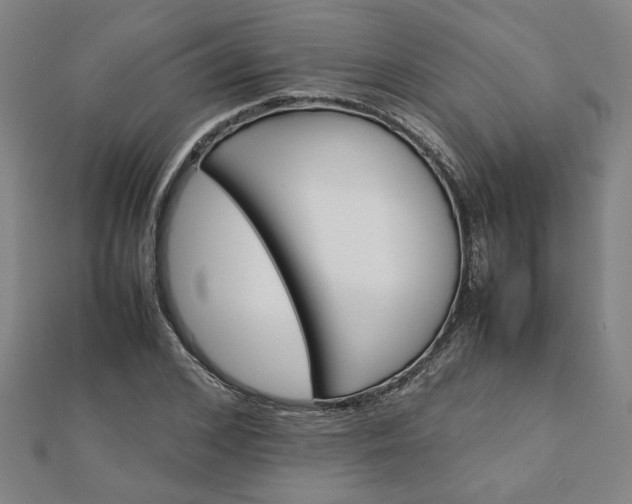 X0000111900976200908031113