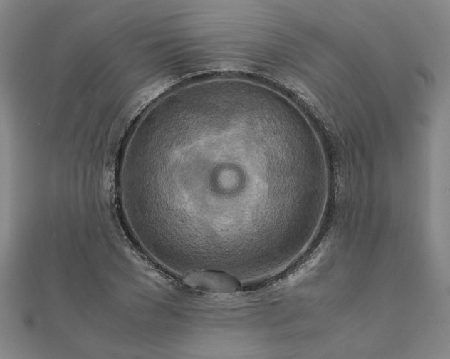 X0000111900977200908031113