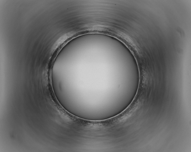 X0000111900978200908031113