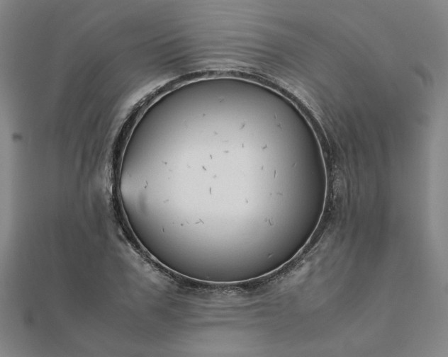 X0000111900979200908031113