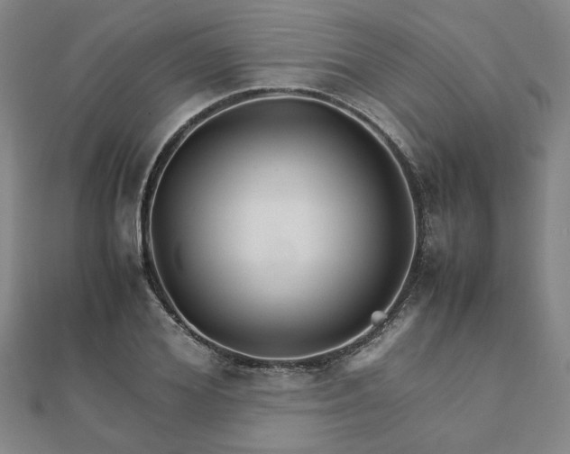 X0000111900980200908031113