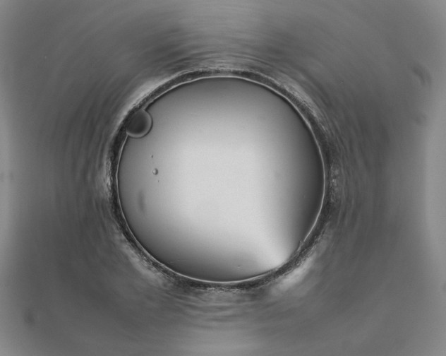 X0000111900981200908031113