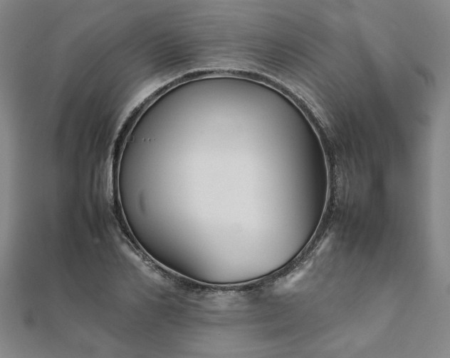 X0000111900982200908031113