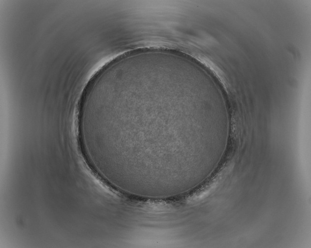 X0000111900983200908031113