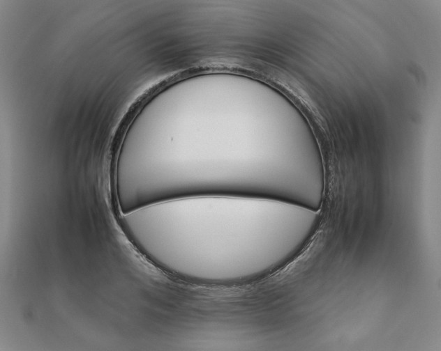 X0000111900984200908031113