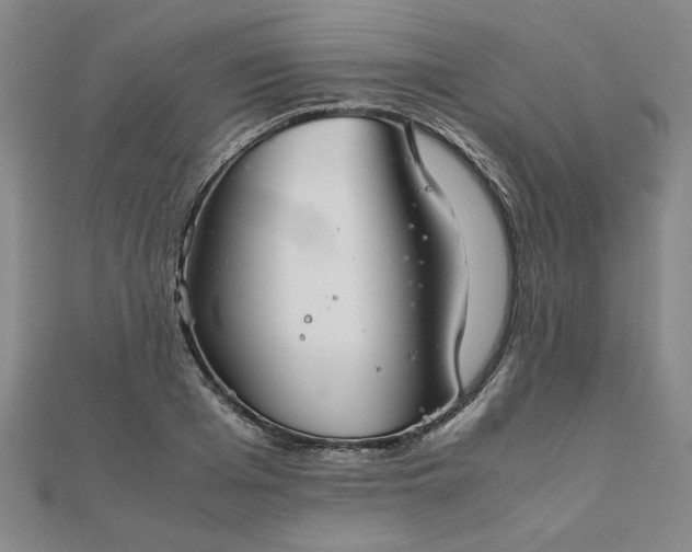 X0000111900985200908031113