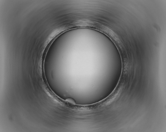 X0000111900986200908031113